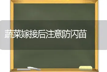 蔬菜嫁接后注意防闪苗