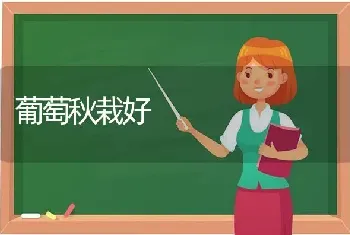 葡萄秋栽好