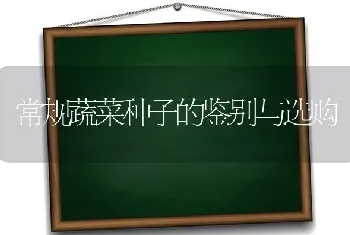 常规蔬菜种子的鉴别与选购