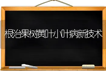 根治果树黄叶小叶病新技术