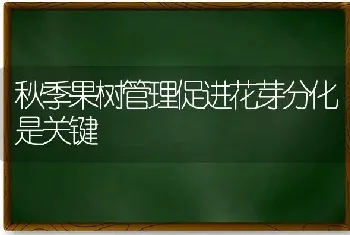 秋季果树管理促进花芽分化是关键