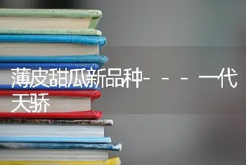 薄皮甜瓜新品种---一代天骄