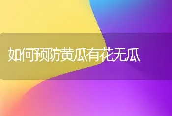 如何预防黄瓜有花无瓜