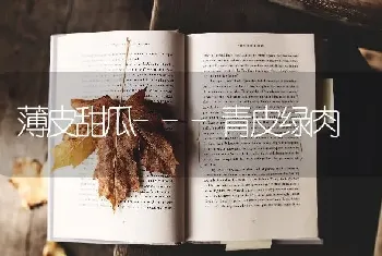 薄皮甜瓜---青皮绿肉