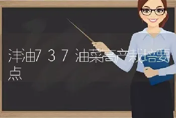 沣油737油菜高产栽培要点