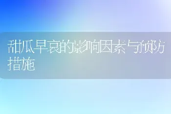 甜瓜早衰的影响因素与预防措施