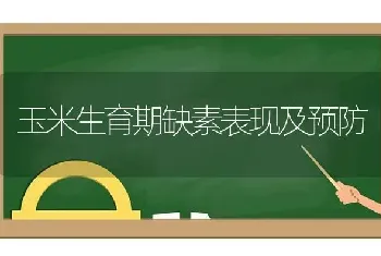 玉米生育期缺素表现及预防