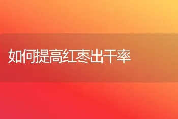 如何提高红枣出干率