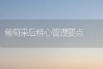 葡萄采后精心管理要点