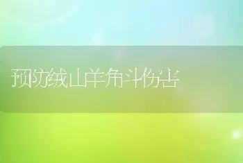 预防绒山羊角斗伤害