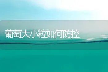 桃树采果后管理四要点