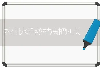 控制水稻纹枯病把四关