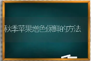 秋季苹果增色保鲜的方法