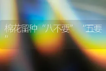 棉花留种“八不要”“五要”