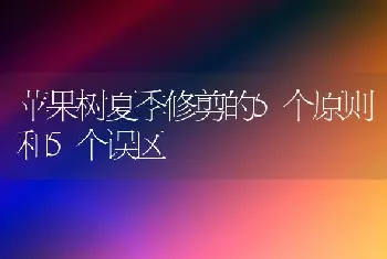 苹果树夏季修剪的5个原则和5个误区