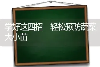 学好这四招 轻松预防蔬菜大小苗