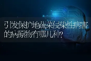 引发保护地蔬菜侵染性病害的病原物有哪几种?