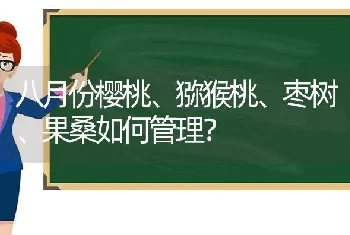 八月份樱桃、猕猴桃、枣树、果桑如何管理?