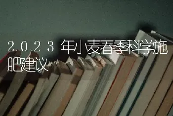 2023年小麦春季科学施肥建议