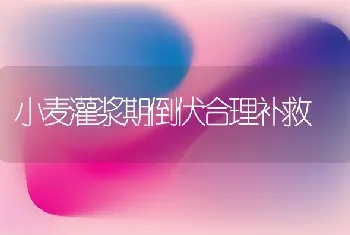 小麦灌浆期倒伏合理补救