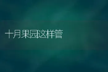 十月果园这样管