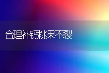 合理补钙桃果不裂