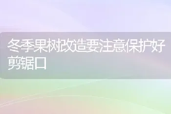 冬季果树改造要注意保护好剪锯口