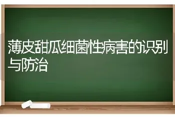 马铃薯高产优质施肥原则