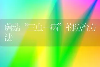 蘑菇“三虫一病”的防治方法