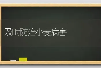 及时防治小麦病害