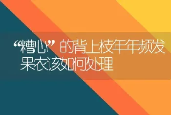 “糟心”的背上枝年年频发 果农该如何处理