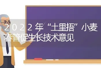 2022年“土里捂”小麦春管促生长技术意见