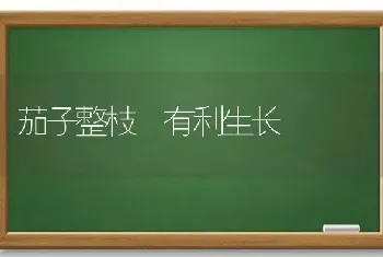 苹果园怎么查治腐烂病