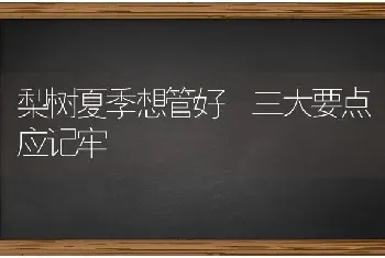 梨树夏季想管好 三大要点应记牢