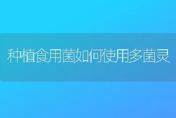 种植食用菌如何使用多菌灵