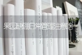 果园缺硼日常管理注意啥