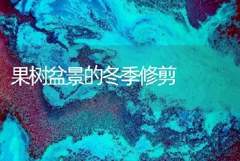 果树盆景的冬季修剪