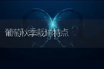 葡萄秋季栽培特点