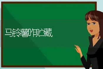 科学疏果 葡萄高产