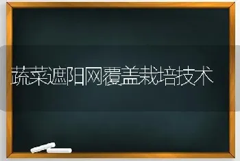 蔬菜遮阳网覆盖栽培技术