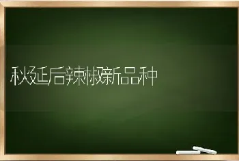 平菇栽培对环境有什么要求