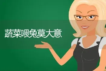 蔬菜喂兔莫大意