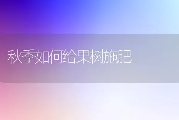 秋季如何给果树施肥