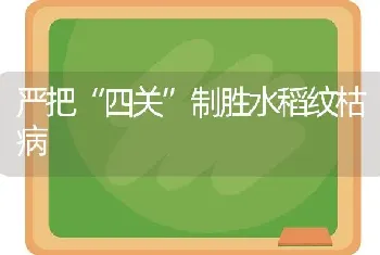 严把“四关”制胜水稻纹枯病