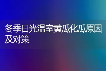 冬季日光温室黄瓜化瓜原因及对策