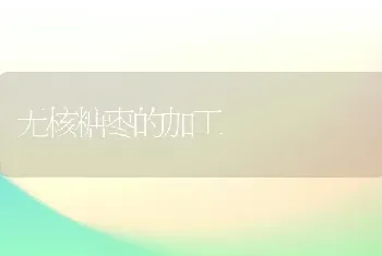 无核糖枣的加工