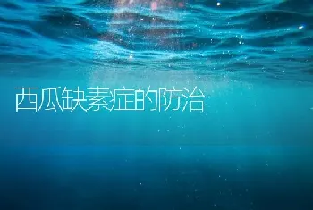 西瓜缺素症的防治