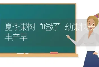 夏季果树“吃好”幼果快长丰产早