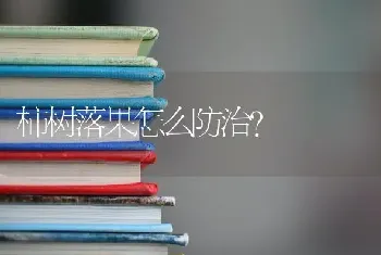 柿树落果怎么防治?