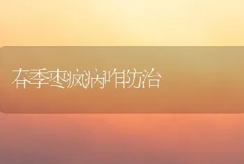 春季枣疯病咋防治